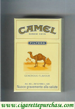 Camel Filter Generous Flavour cigarettes King size hard box